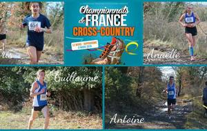 Championnat de France de cross