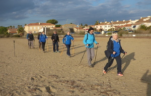 Sorties marche nordique